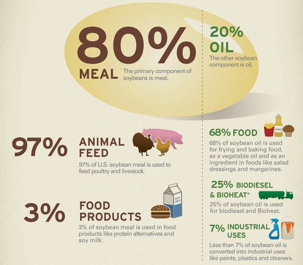 Animal feed, food, biofuel, industrial, food products.